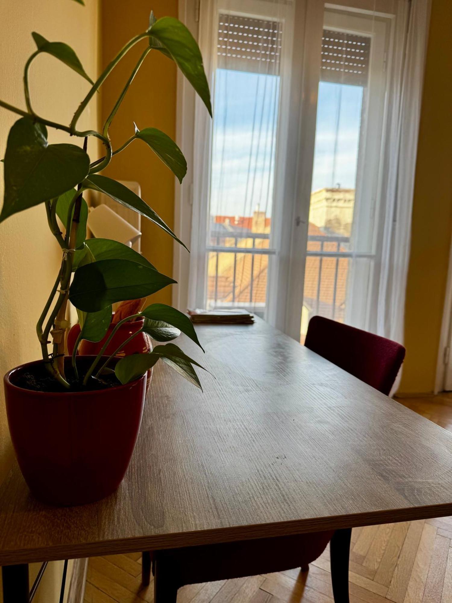 Extralarge Queen Room In The Heart Of Bratislava With Terrace Exterior photo
